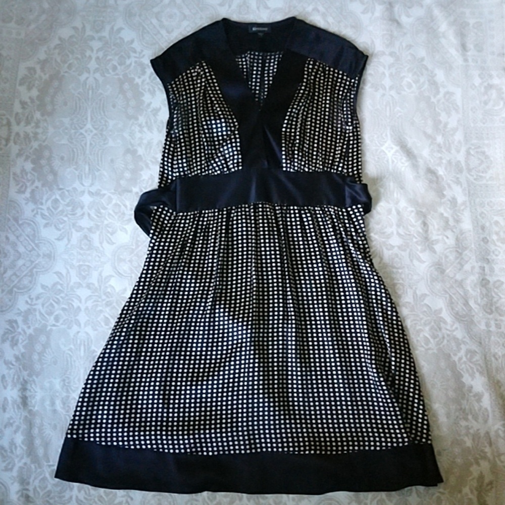 Silk Bebe Dress
